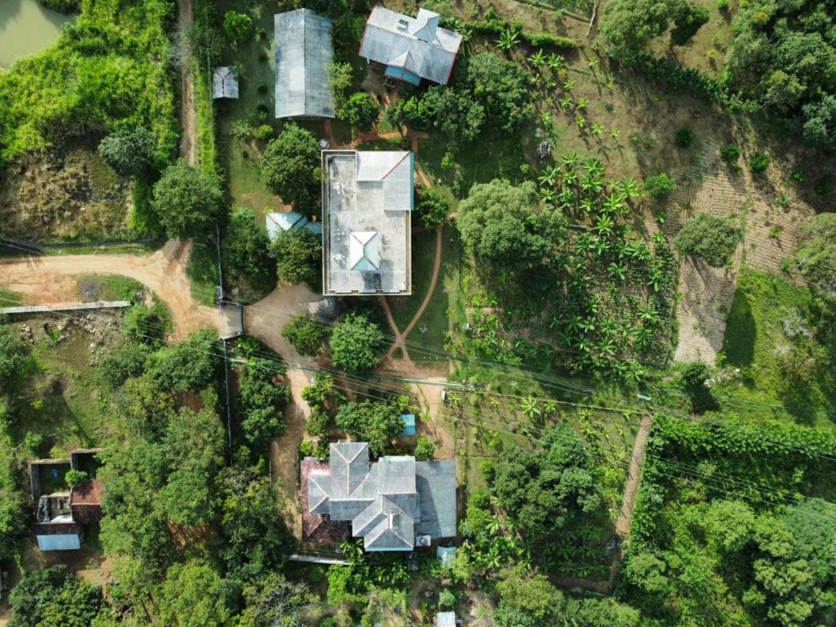 Green Hut Nature Resort Sigirîya Extérieur photo