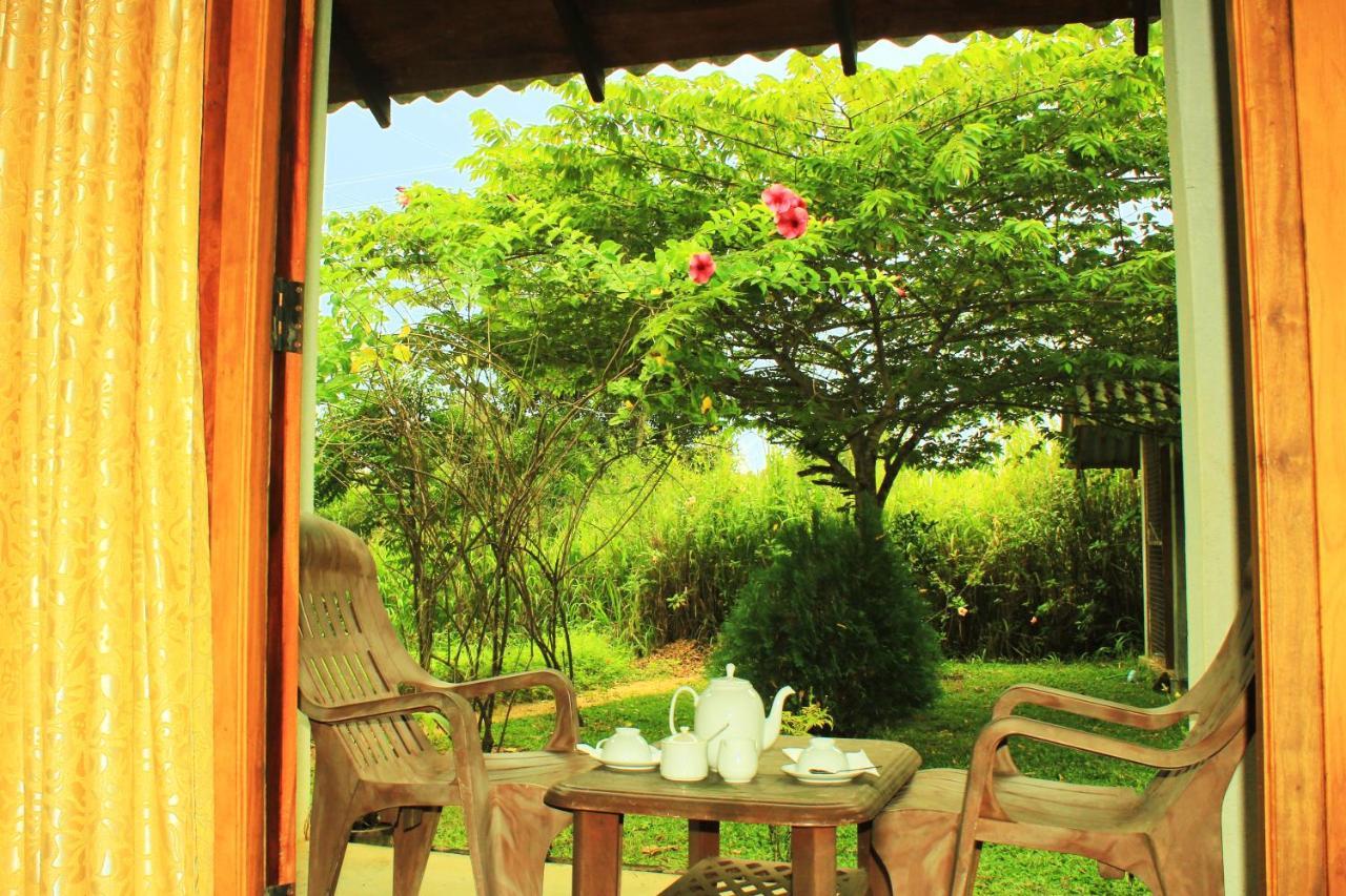 Green Hut Nature Resort Sigirîya Extérieur photo