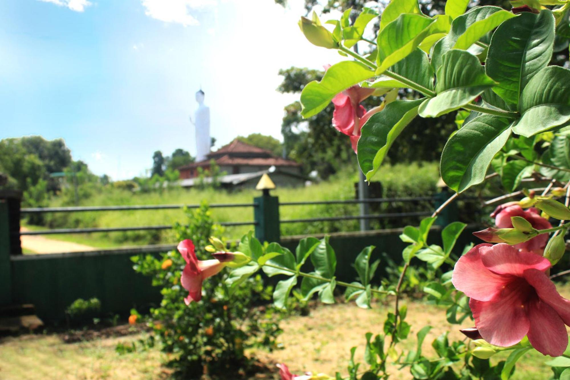 Green Hut Nature Resort Sigirîya Extérieur photo